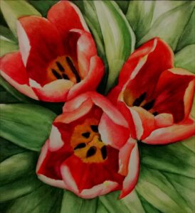 Tulips, Watercolor, 38x34 cm