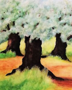 Olive grove, Watercolor, 42x32 cm